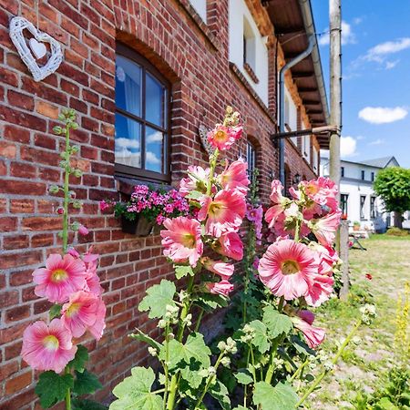 Ostsee Bauernhof Schwalbennest Ofc 15 Steffenshagen Экстерьер фото